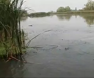 LAKE (by tm)