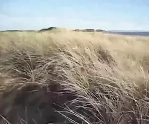 Nude Beach - wife masturbating - stanger watches